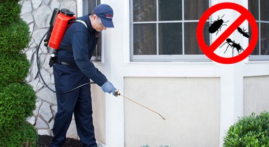 İzkent Kene İlaçlama böcek ilaçlama ve haşere kontrolü — ilaclama-tr.com